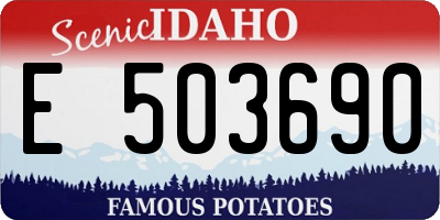 ID license plate E503690