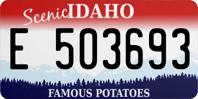 ID license plate E503693