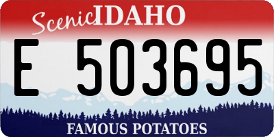 ID license plate E503695