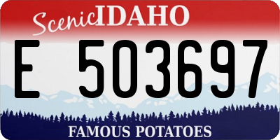 ID license plate E503697