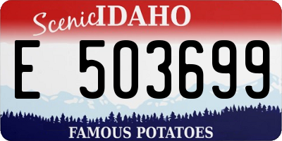 ID license plate E503699