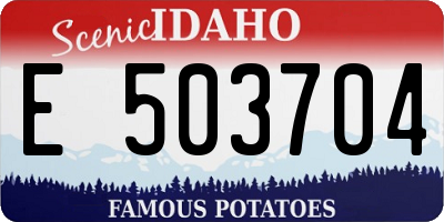 ID license plate E503704