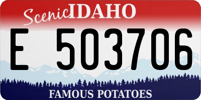 ID license plate E503706