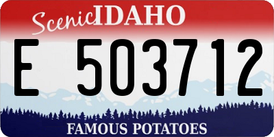 ID license plate E503712