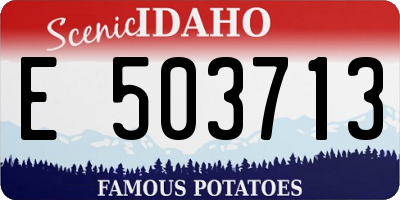 ID license plate E503713