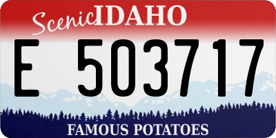 ID license plate E503717