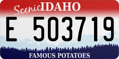 ID license plate E503719