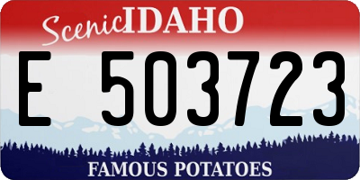 ID license plate E503723