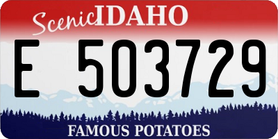 ID license plate E503729