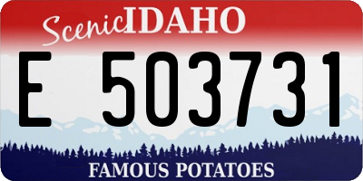 ID license plate E503731