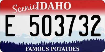 ID license plate E503732