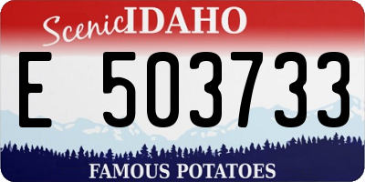 ID license plate E503733