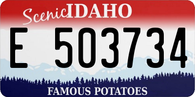 ID license plate E503734