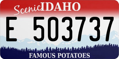 ID license plate E503737