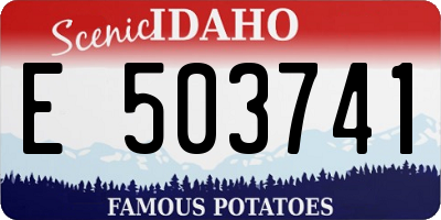ID license plate E503741