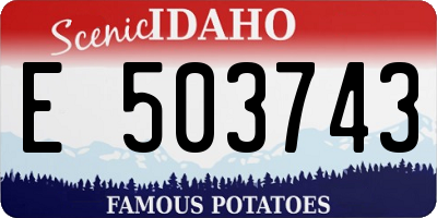 ID license plate E503743