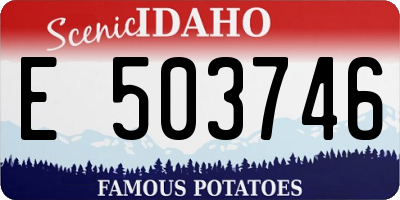 ID license plate E503746