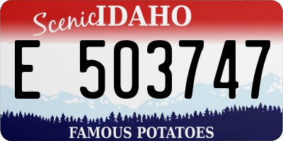ID license plate E503747