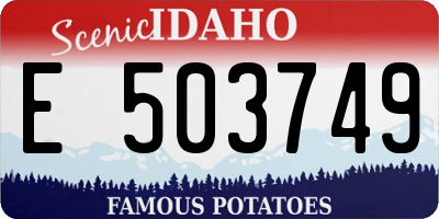 ID license plate E503749