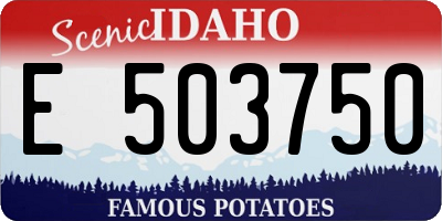ID license plate E503750
