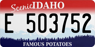 ID license plate E503752