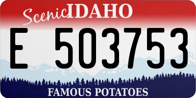 ID license plate E503753