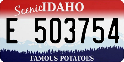 ID license plate E503754