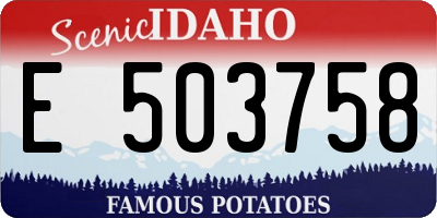 ID license plate E503758