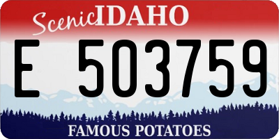 ID license plate E503759