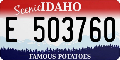 ID license plate E503760