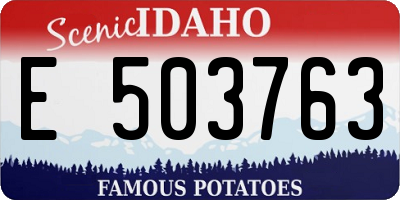 ID license plate E503763
