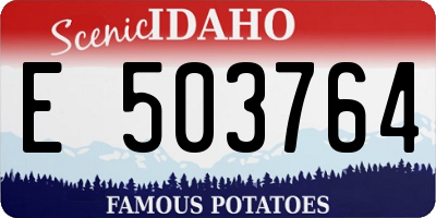 ID license plate E503764