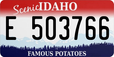 ID license plate E503766