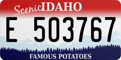 ID license plate E503767