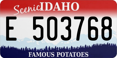 ID license plate E503768