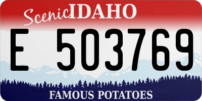 ID license plate E503769