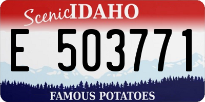 ID license plate E503771