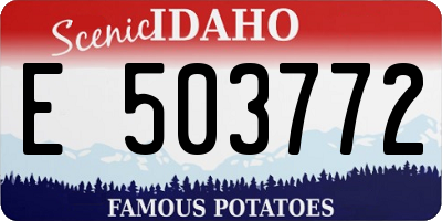 ID license plate E503772