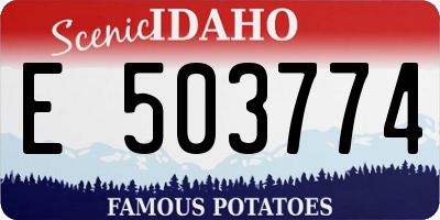 ID license plate E503774