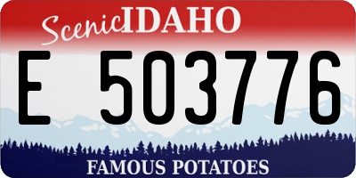 ID license plate E503776