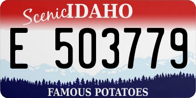 ID license plate E503779
