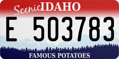 ID license plate E503783