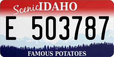 ID license plate E503787