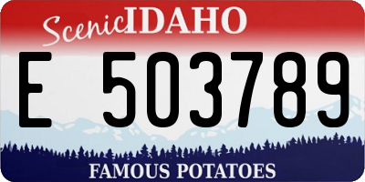 ID license plate E503789