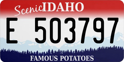 ID license plate E503797