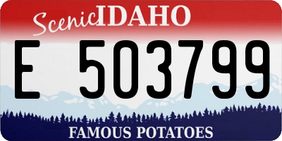 ID license plate E503799
