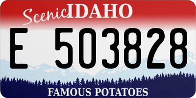 ID license plate E503828