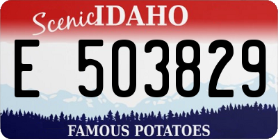 ID license plate E503829