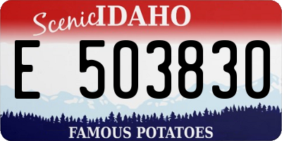 ID license plate E503830