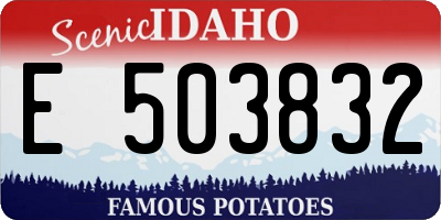 ID license plate E503832